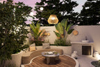 Outdoor suspended light (color bridge)